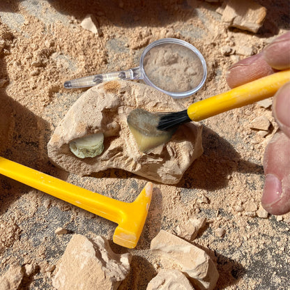 GeoSafari® Jr. Fossil Excavation Kit