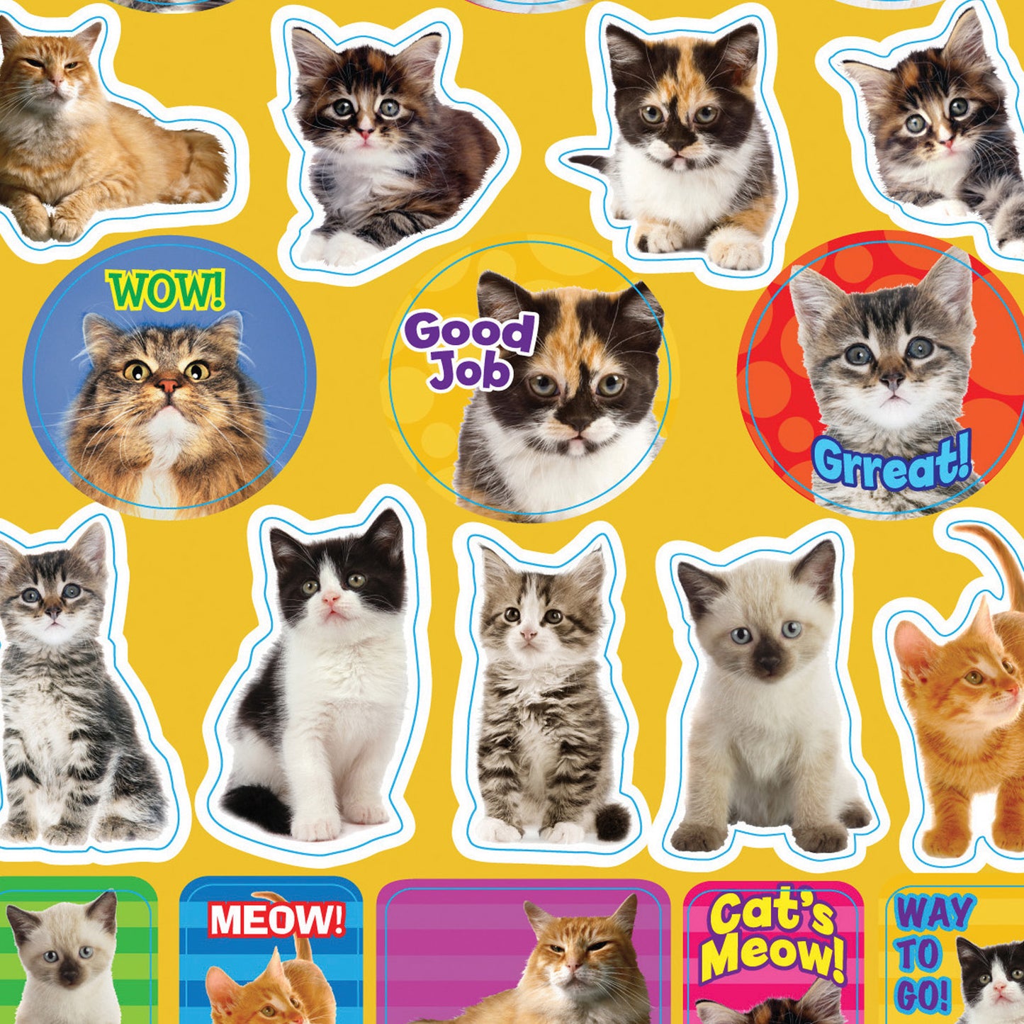 Motivational Cats, 120 Per Pack, 12 Packs