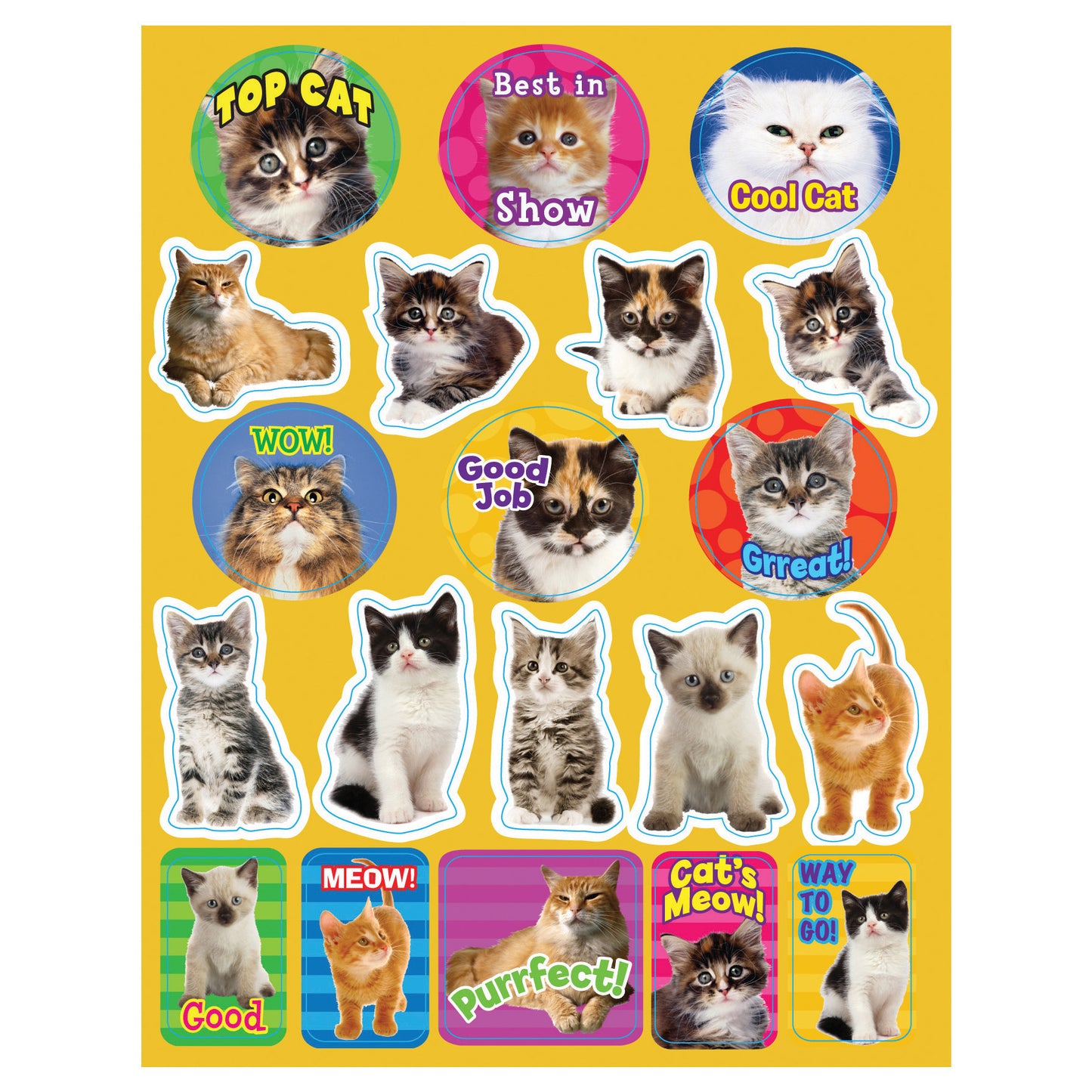 (12 PK) MOTIVATIONAL CATS THEME STICKERS