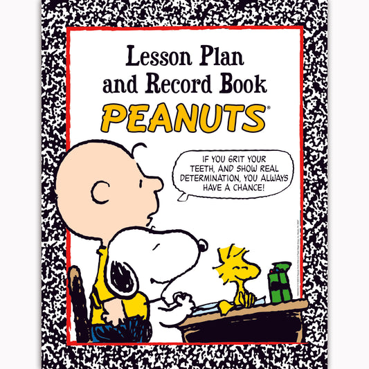 (2 EA) PEANUTS LESSON PLAN & RECORD BOOK