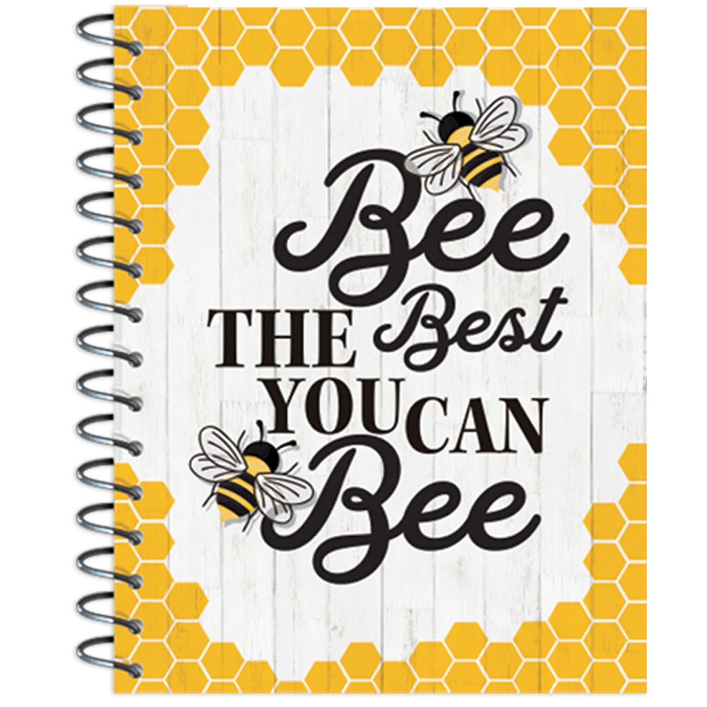 The Hive Lesson Plan Spiral Bound Book, Pack of 2