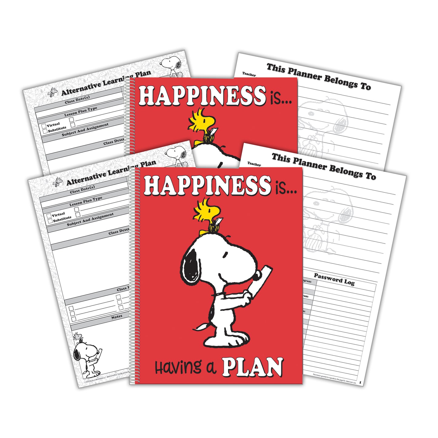 Peanuts® Lesson Plan & Record Book, Pack of 2