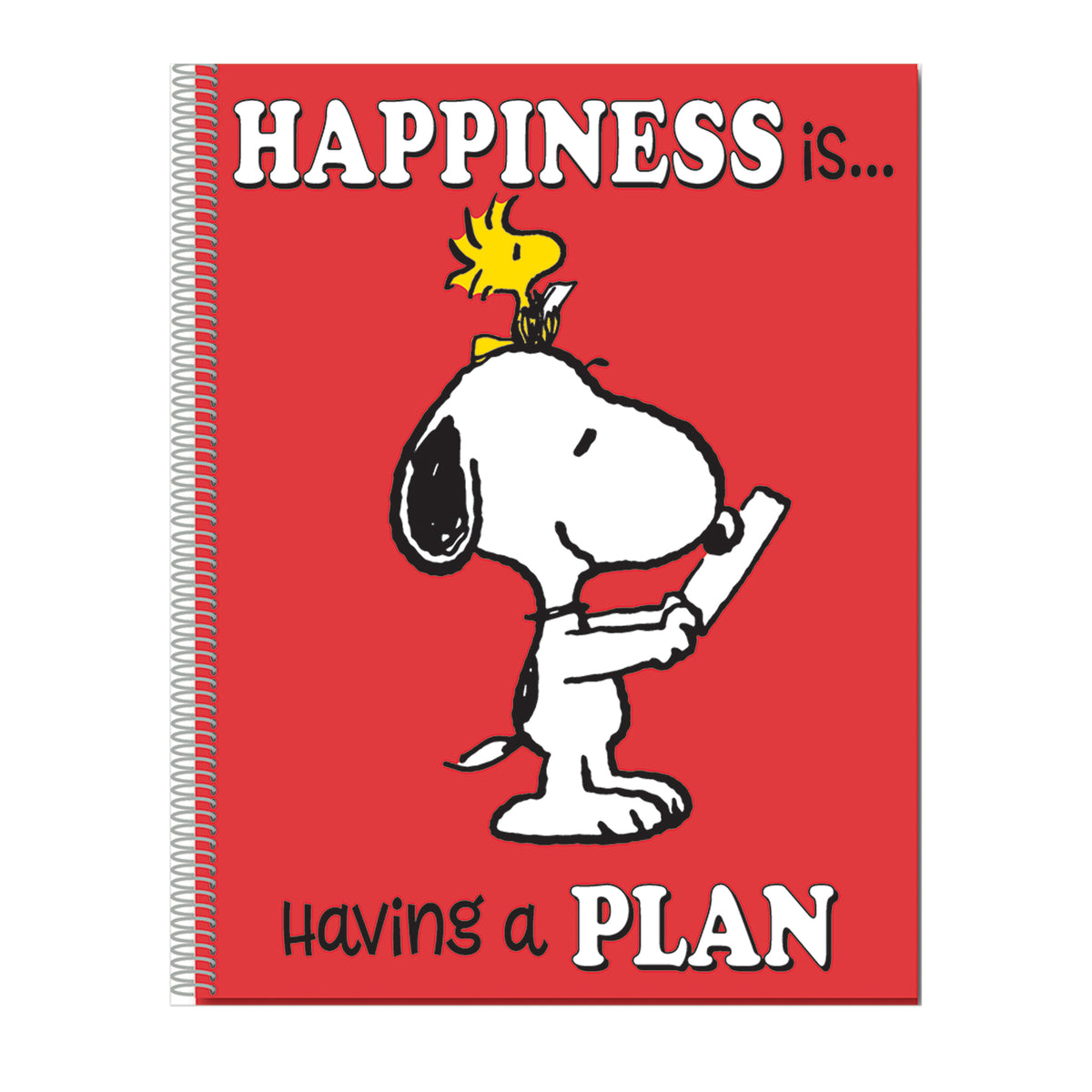 Peanuts Lesson Plan & Record Books – Loomini