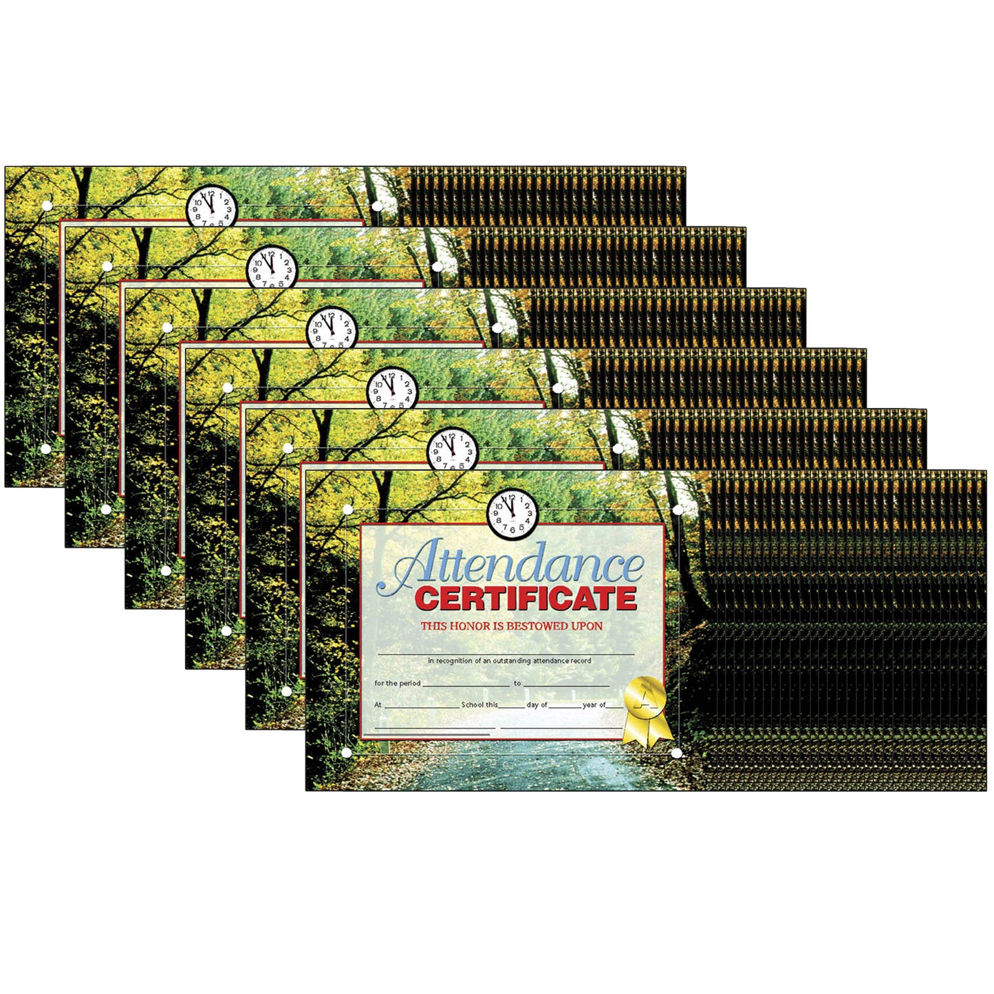 Attendance Certificate, 30 Per Pack, 6 Packs