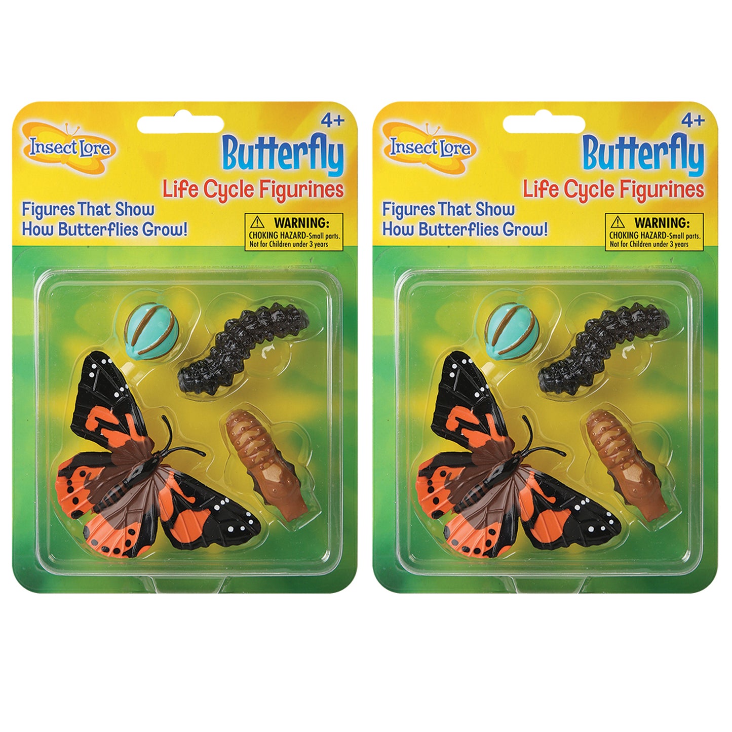 Butterfly Life Cycle Stages, 4 Per Set, 2 Sets