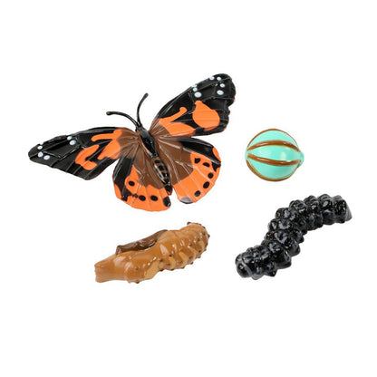 Butterfly Life Cycle Stages, 4 Per Set, 2 Sets