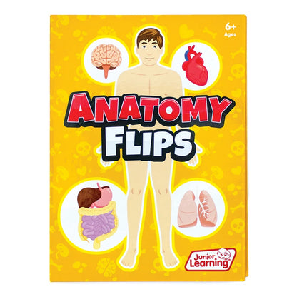 Anatomy Flips