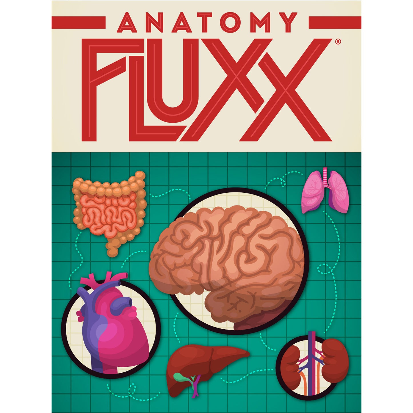 Anatomy Fluxx® Card Game