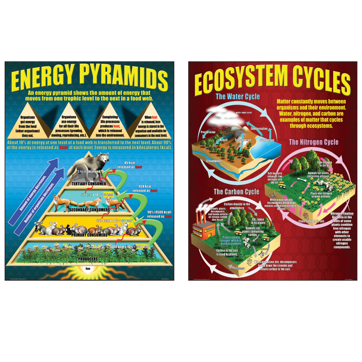 Ecosystems Posters, Set of 4