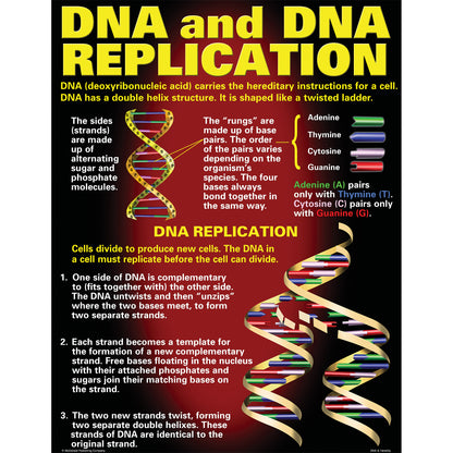 DNA & Heredity Posters, Set of 4