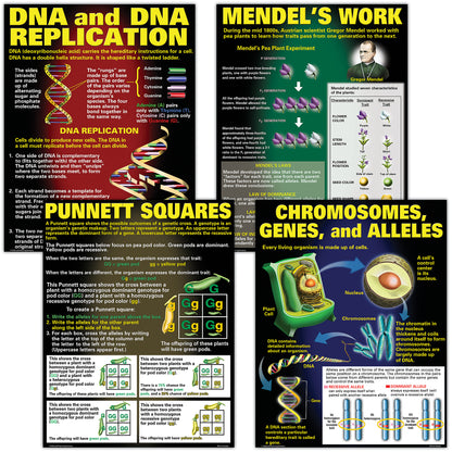 DNA & Heredity Posters, Set of 4