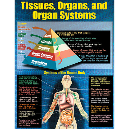 Living Organisms Posters, Set of 4