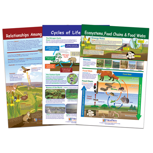 Ecology Bulletin Board Chart Set, Grades 3-5