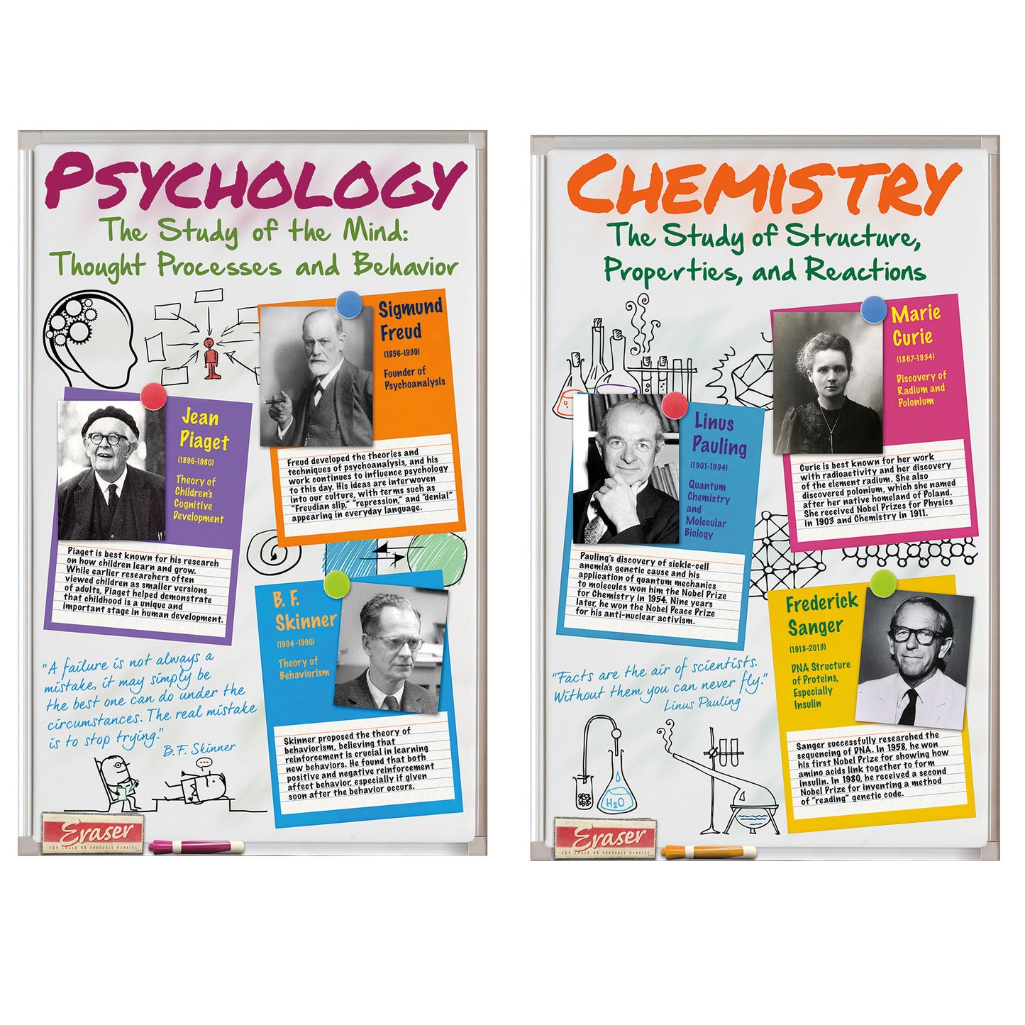 Scientist Bulletin Board Set, 2 Sets