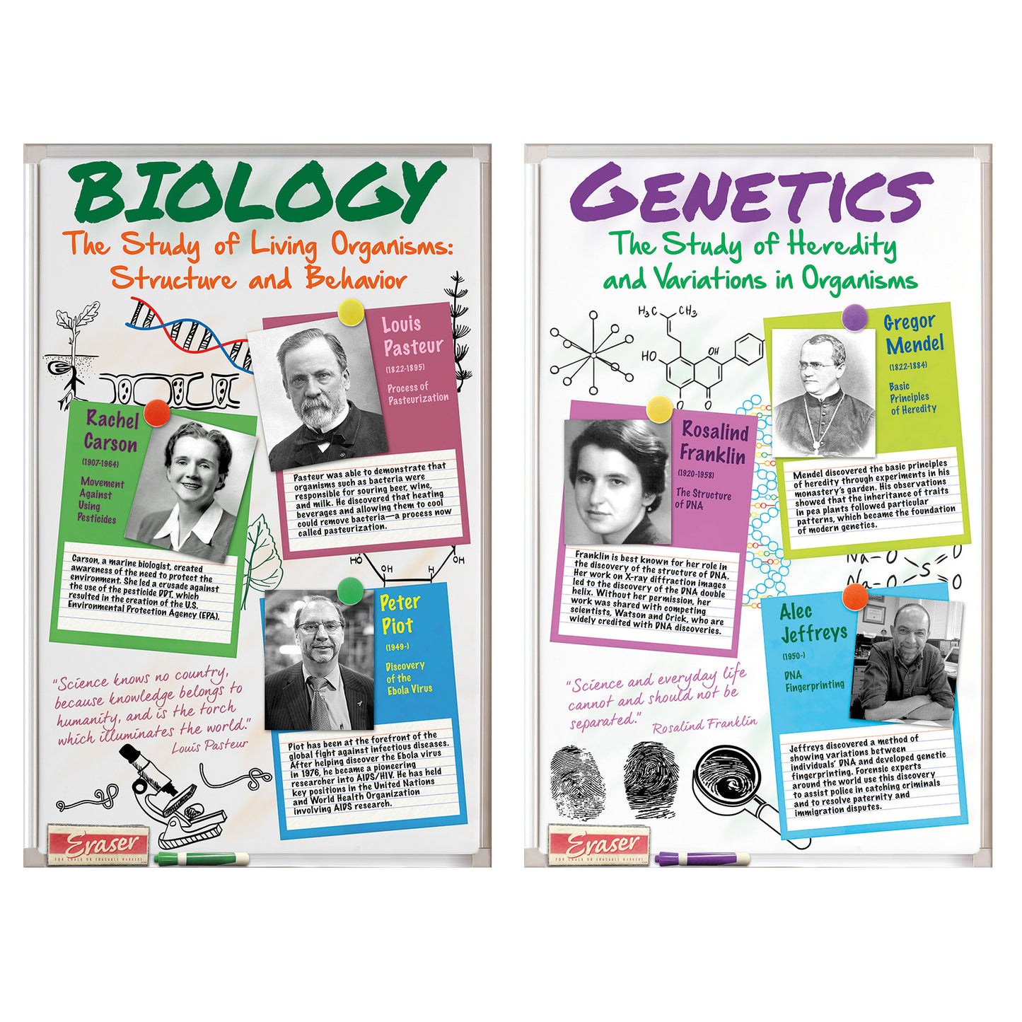 Scientists Bulletin Board Set