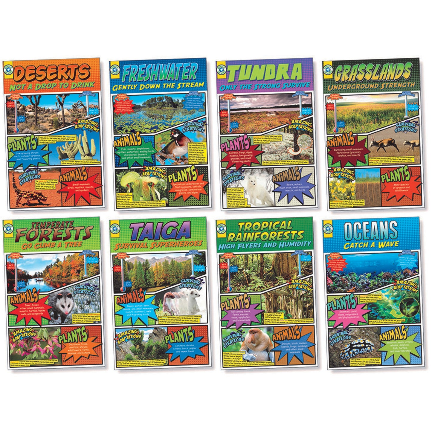 Biomes Bulletin Board Set, 2 Sets