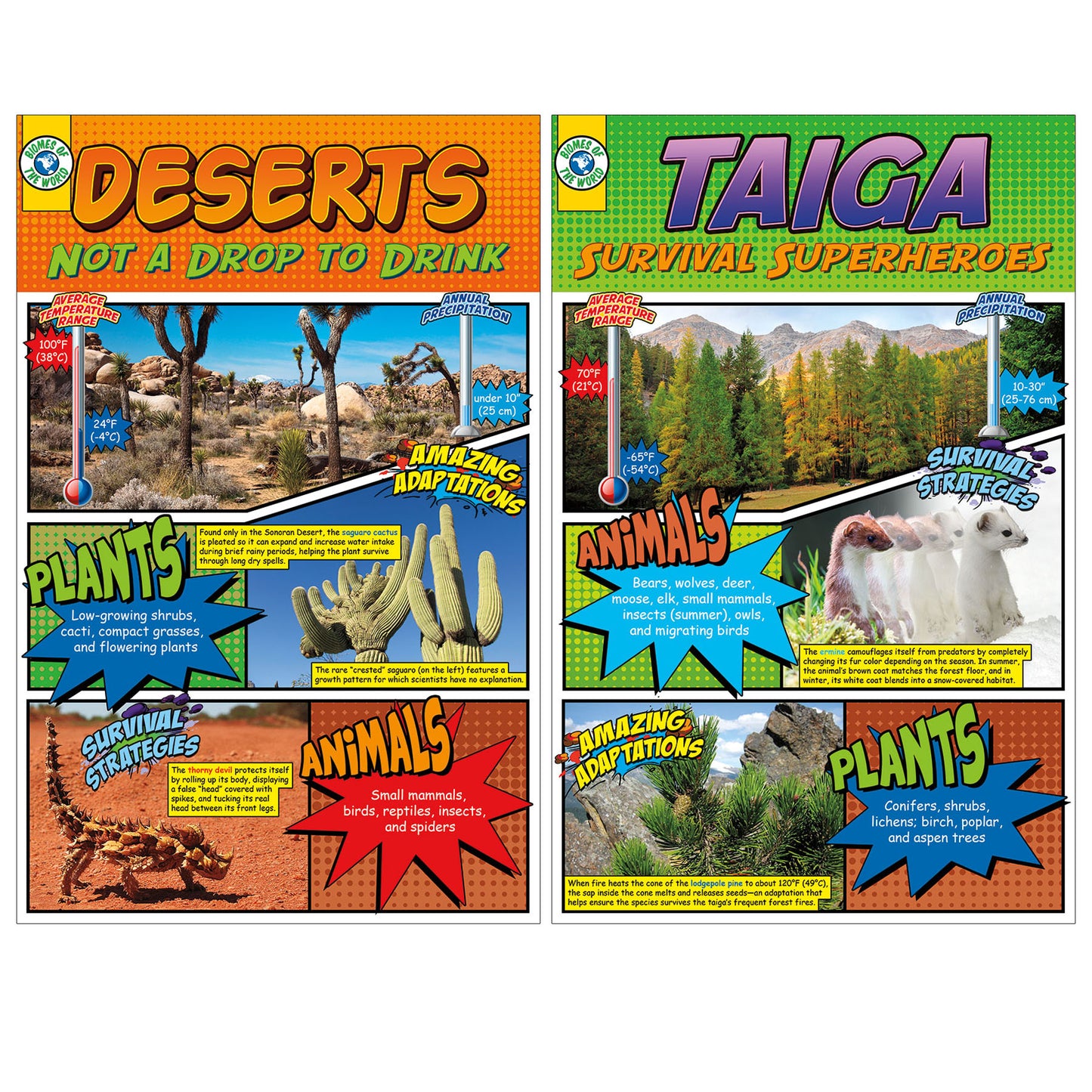 Biomes Bulletin Board Set, 2 Sets