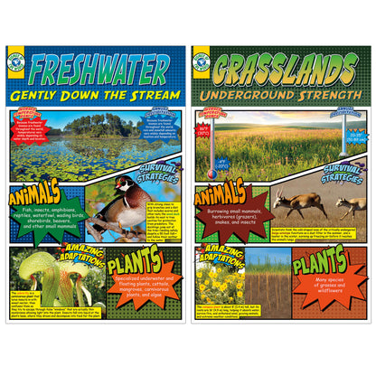 Biomes Bulletin Board Set, 2 Sets