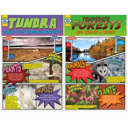 Biomes Bulletin Board Set, 2 Sets