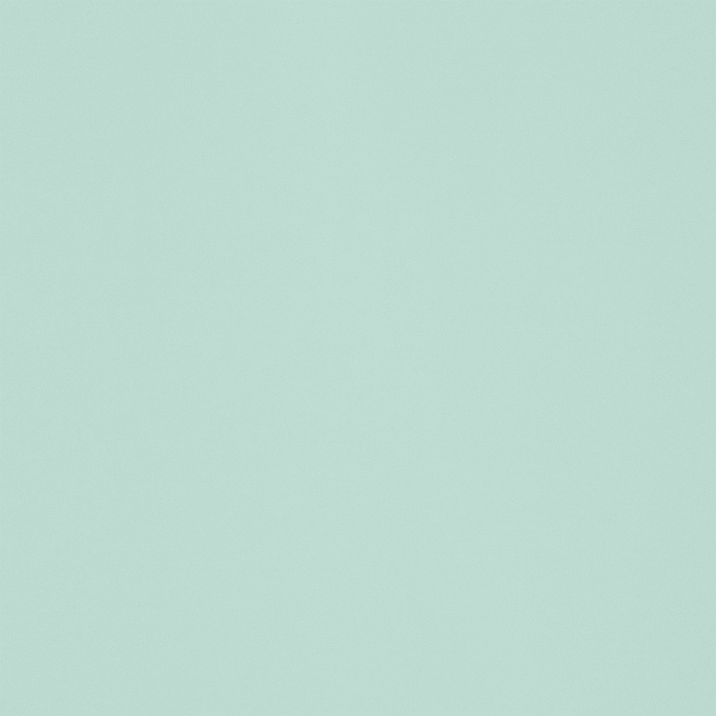 Schoolgirl Style Bulletin Board Paper, 48" x 50', Mint to Be