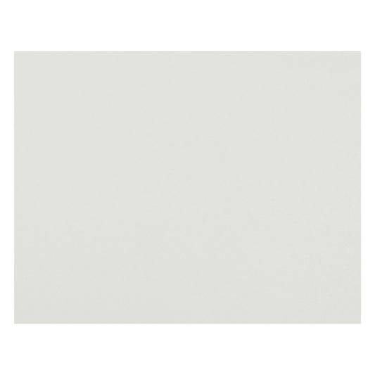 4-Ply Railroad Board, White, 22" x 28", Pack of 50