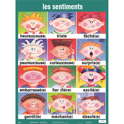 French Essential Classroom Posters Set I