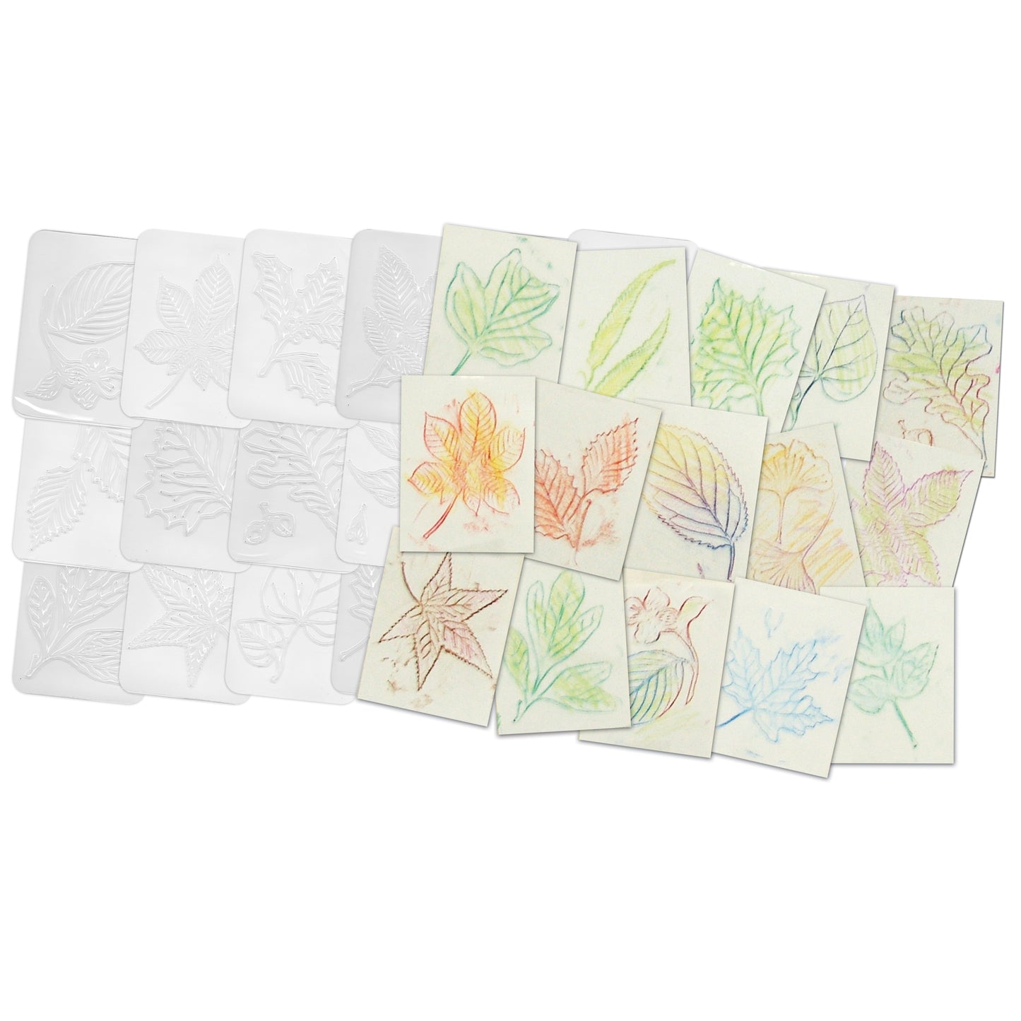 Leaf Rubbing Plates, Pack of 16