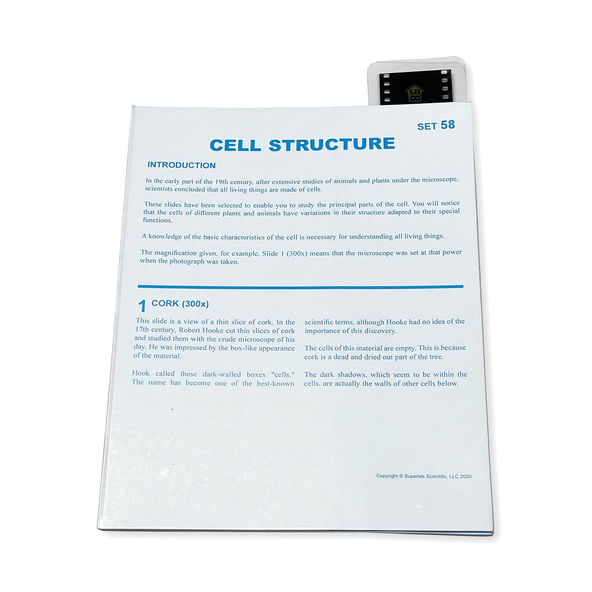 Microslide Microslide, Cell Structure, 35mm – Loomini
