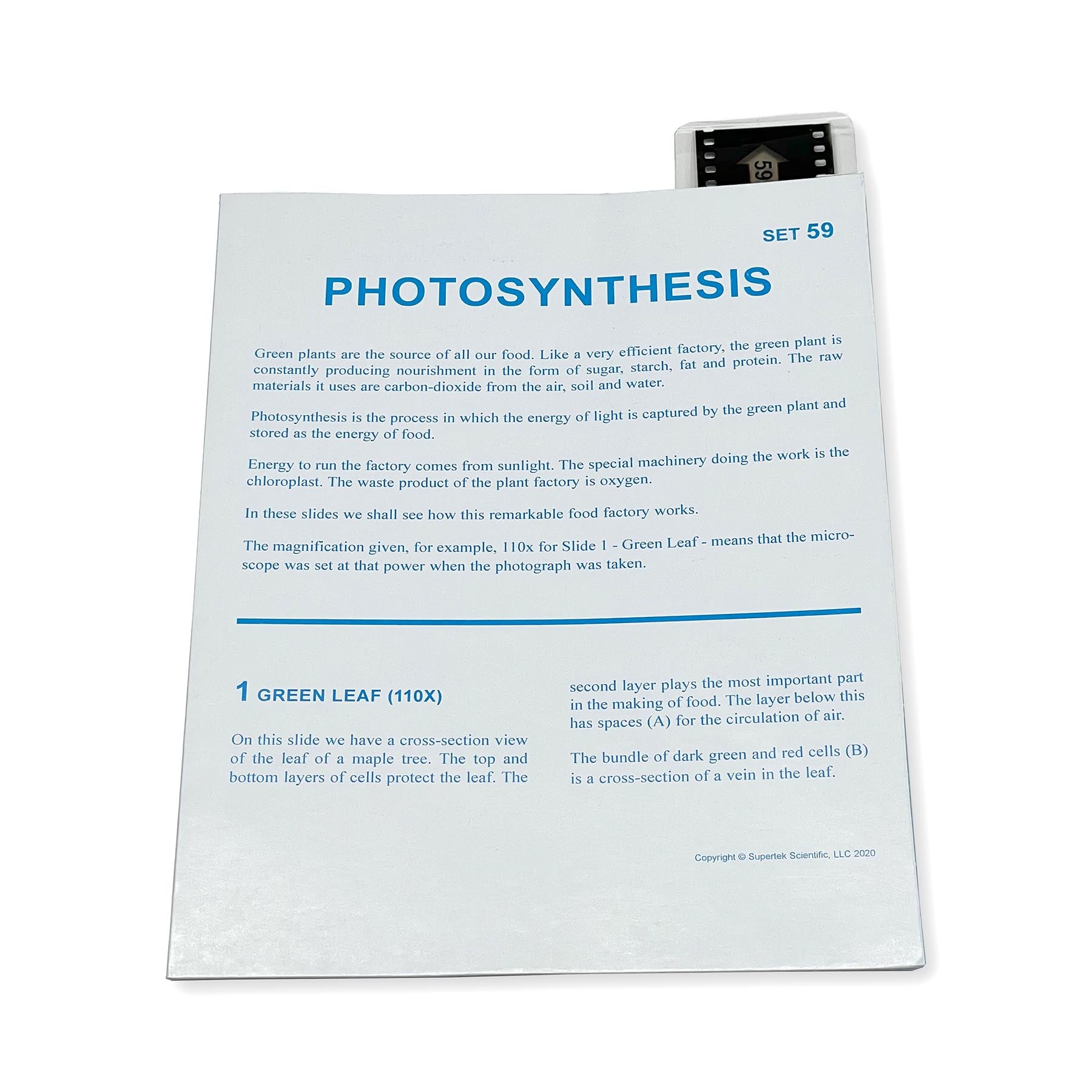 Microslide Microslide, Photosynthesis, 35mm – Loomini