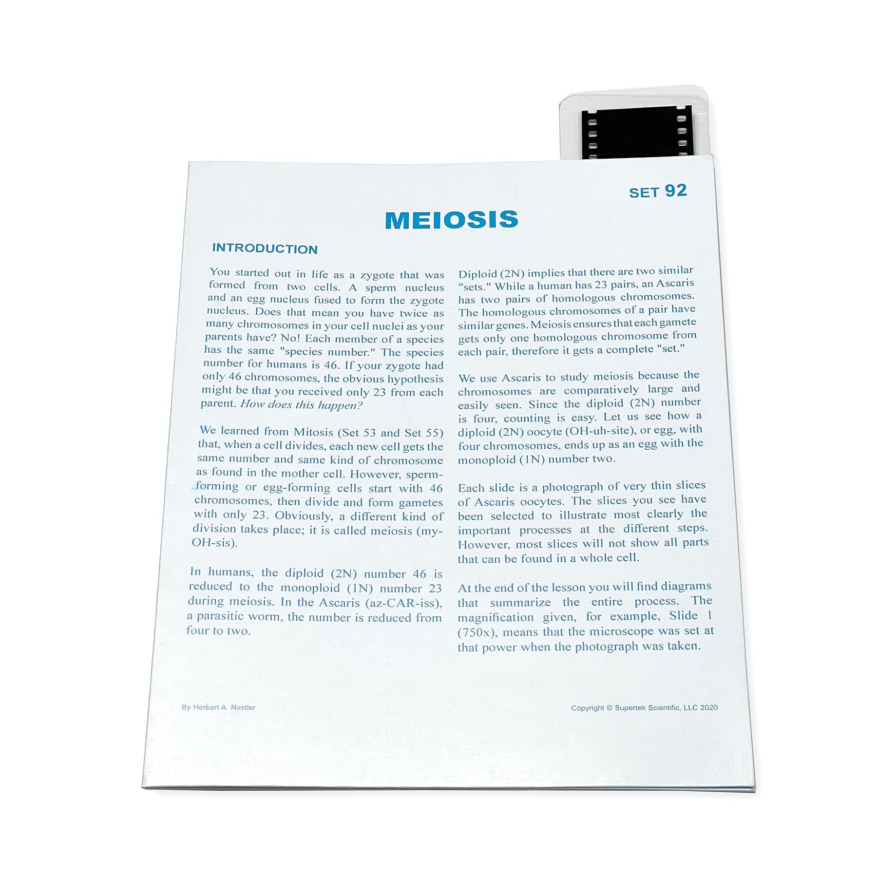 Microslide, Plant Meiosis, 35mm – Loomini