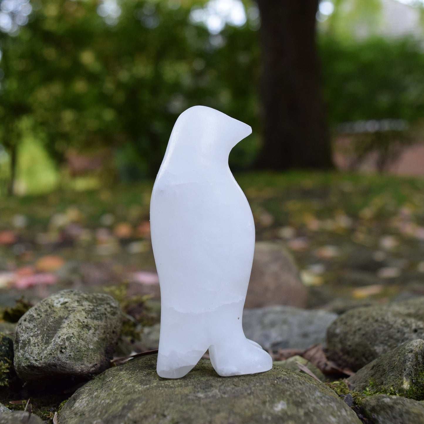 Penguin Alabaster Carving Kit