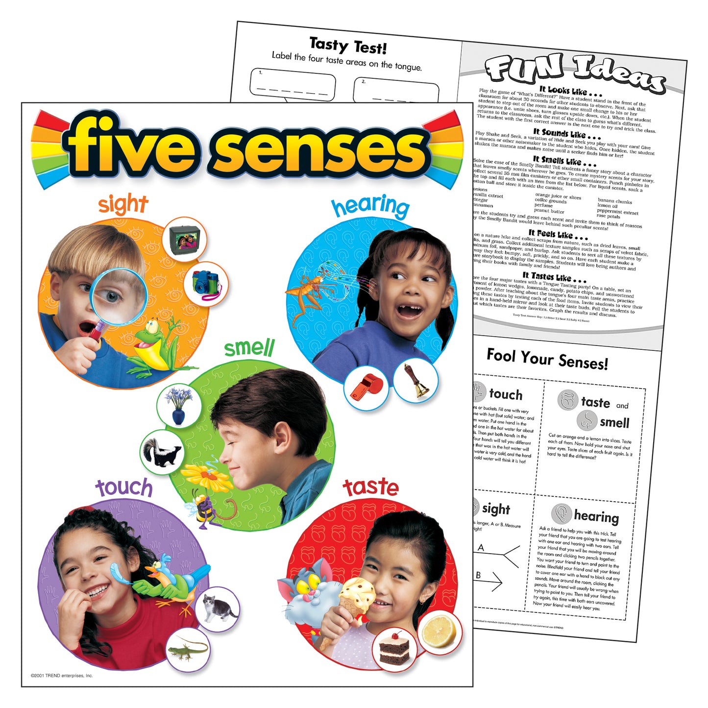 Five Senses Learning Chart, 17" x 22"