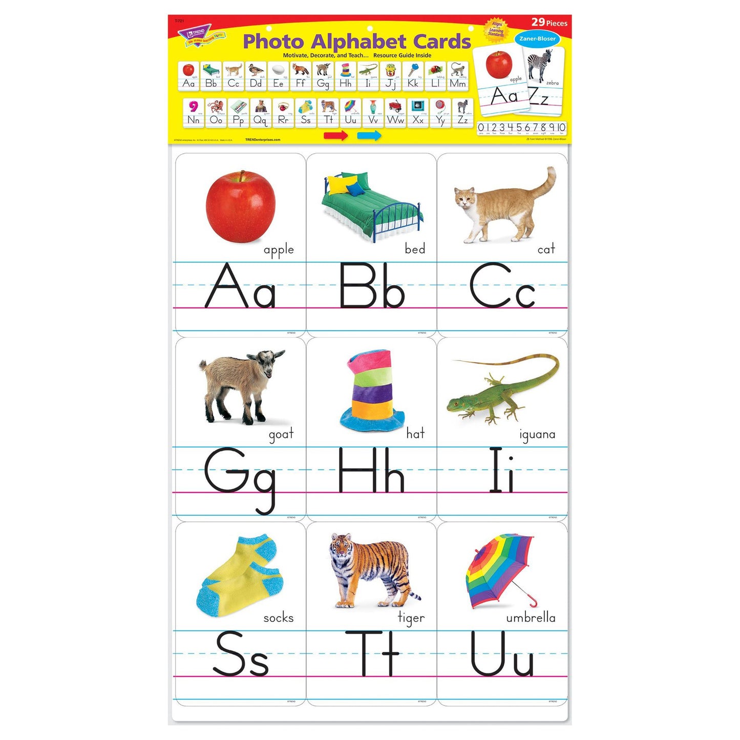 Photo Alphabet Cards Zaner-Bloser Manuscript Bulletin Board Set