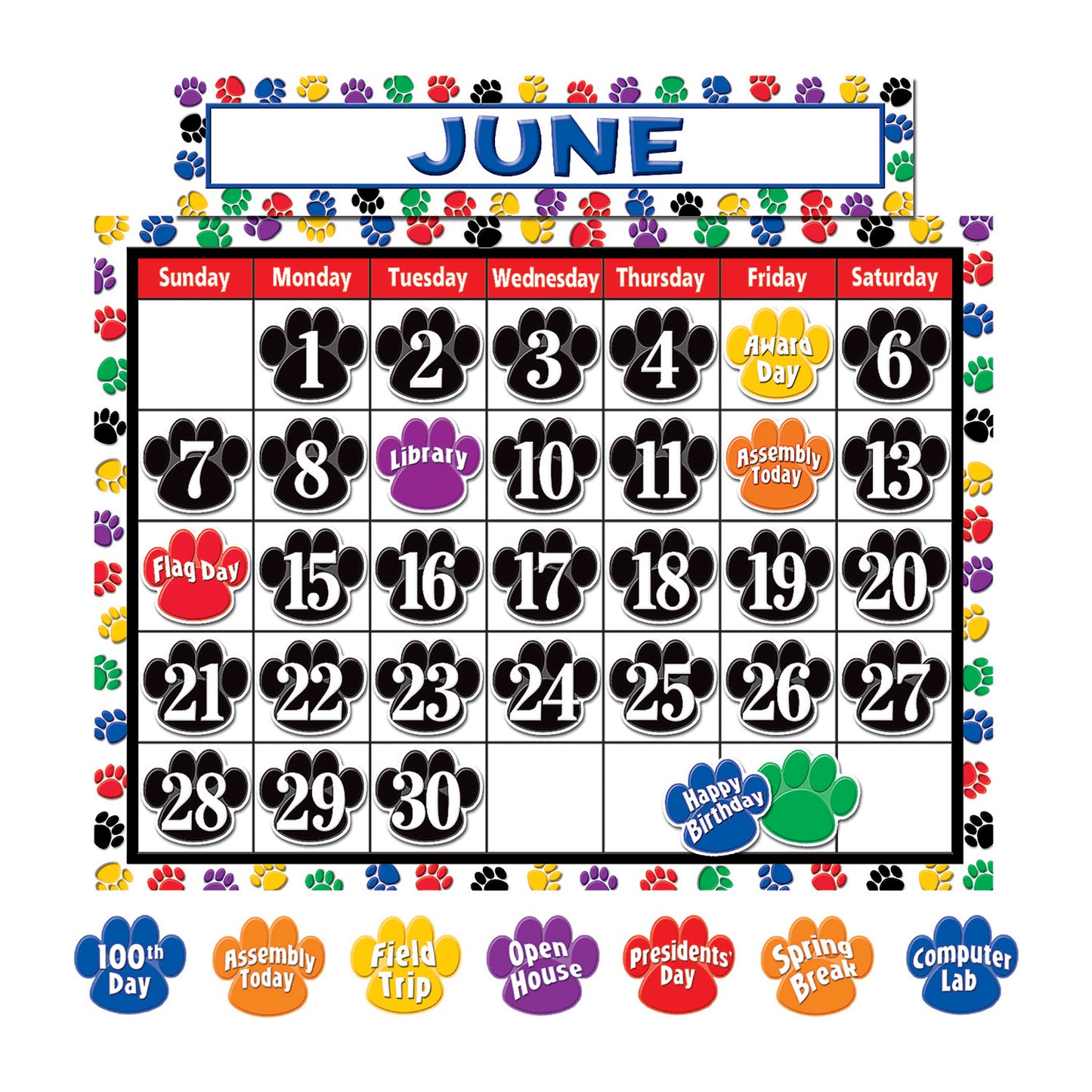 Colorful Paw Prints Calendar Set