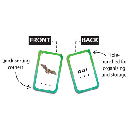 Decoding CVC Words Flash Cards