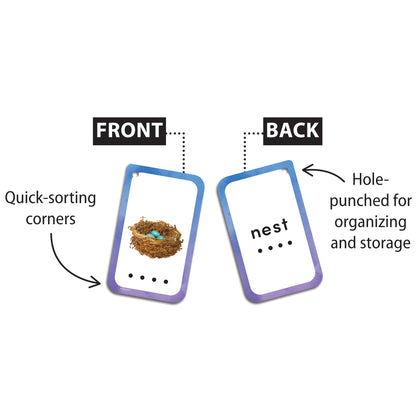 Decoding Words Flash Cards