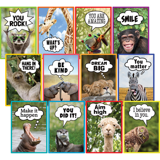 Go Wild Animals Small Poster Pack