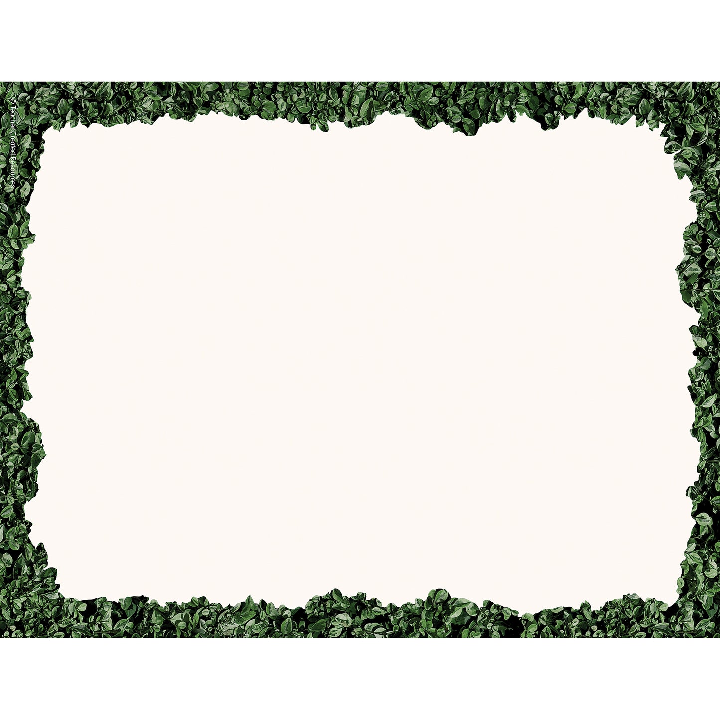 Modern Farmhouse Boxwood Computer Paper, 50 Sheets Per Pack, 6 Packs