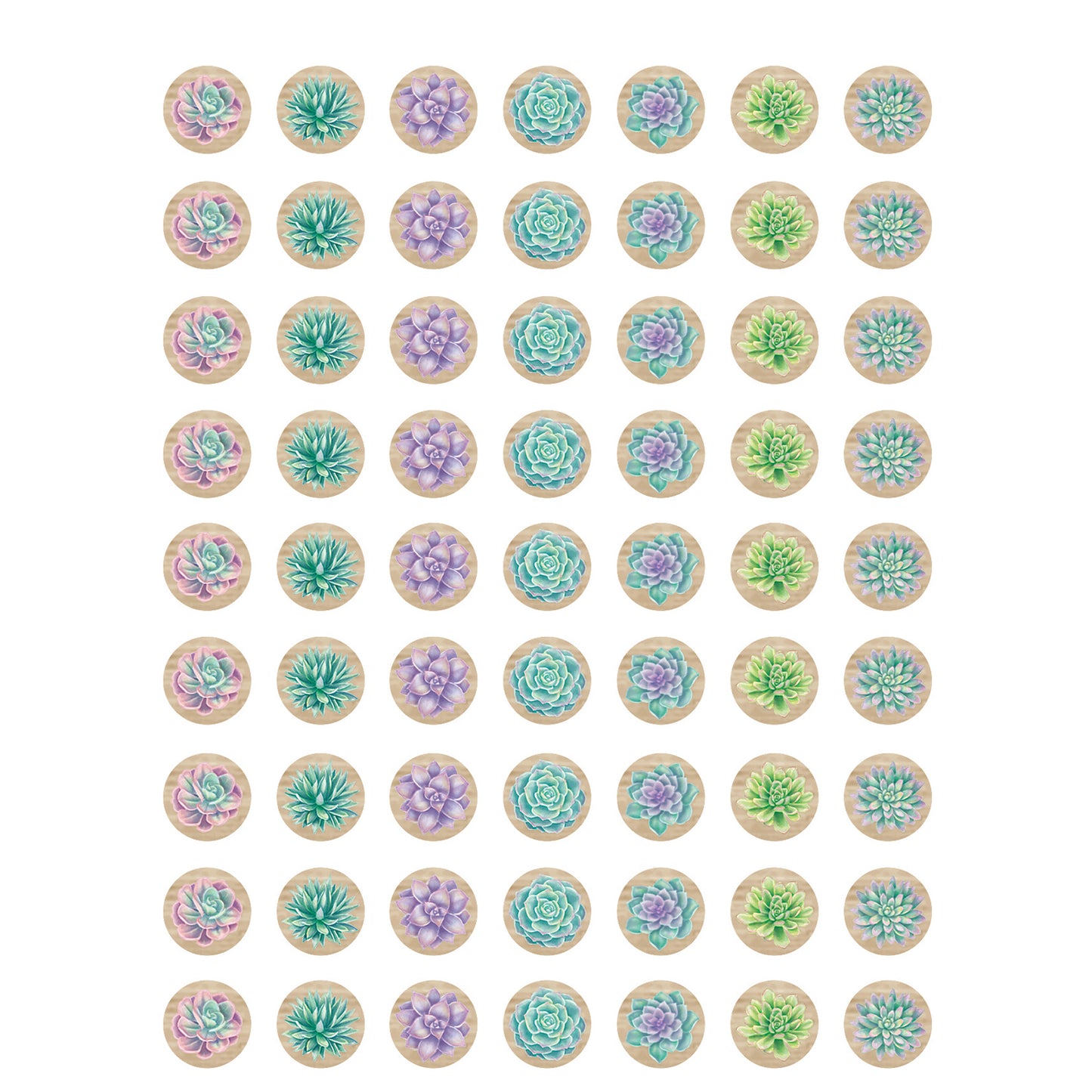 Rustic Bloom Succulents Mini Stickers, Pack of 378