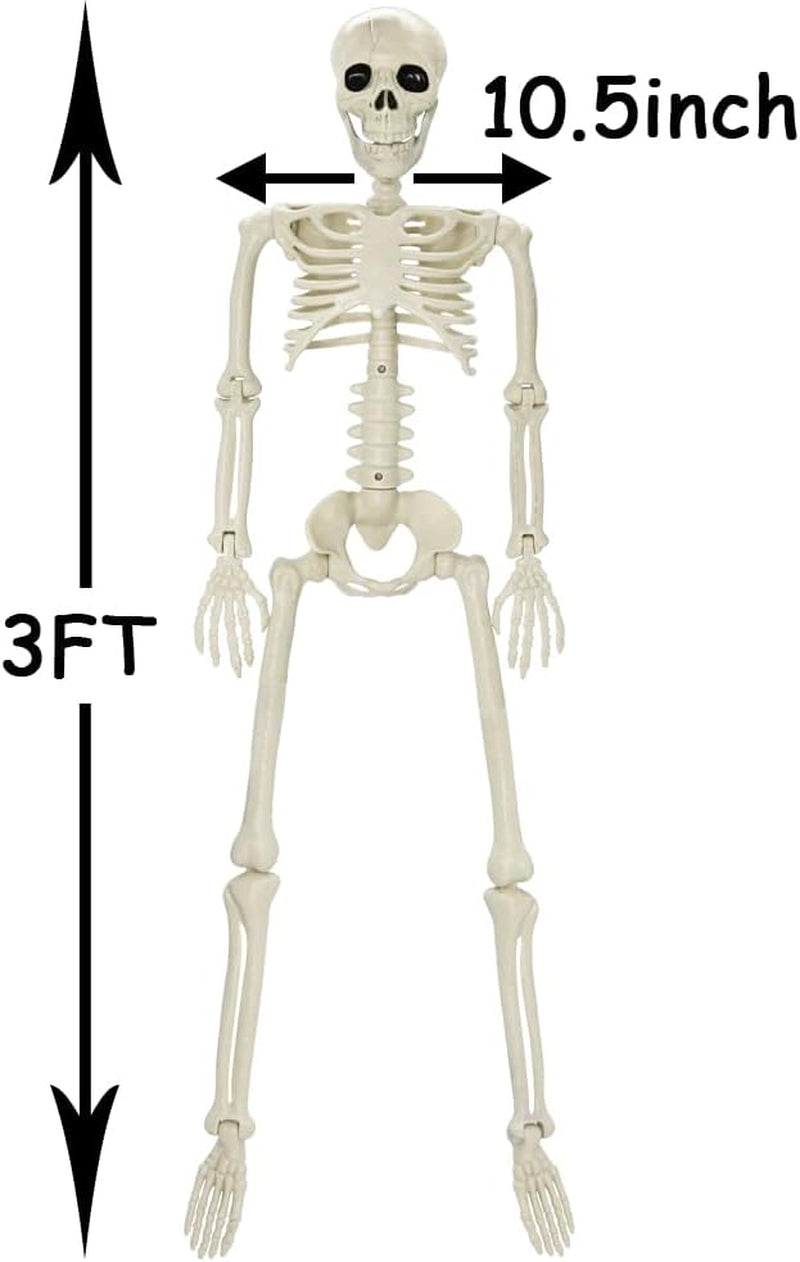 3FT Halloween Skeleton