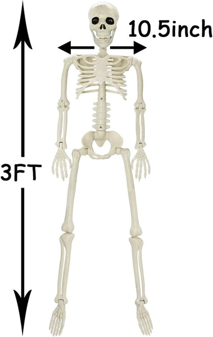 3FT Halloween Skeleton