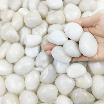 2Lbs Small White Pebbles for Plants, 0.8-1.2 Inch Decorative White River Rocks for Plants, Aquariums, Landscaping. White Stones for Planter Vase and Outdoor Garden Rocks