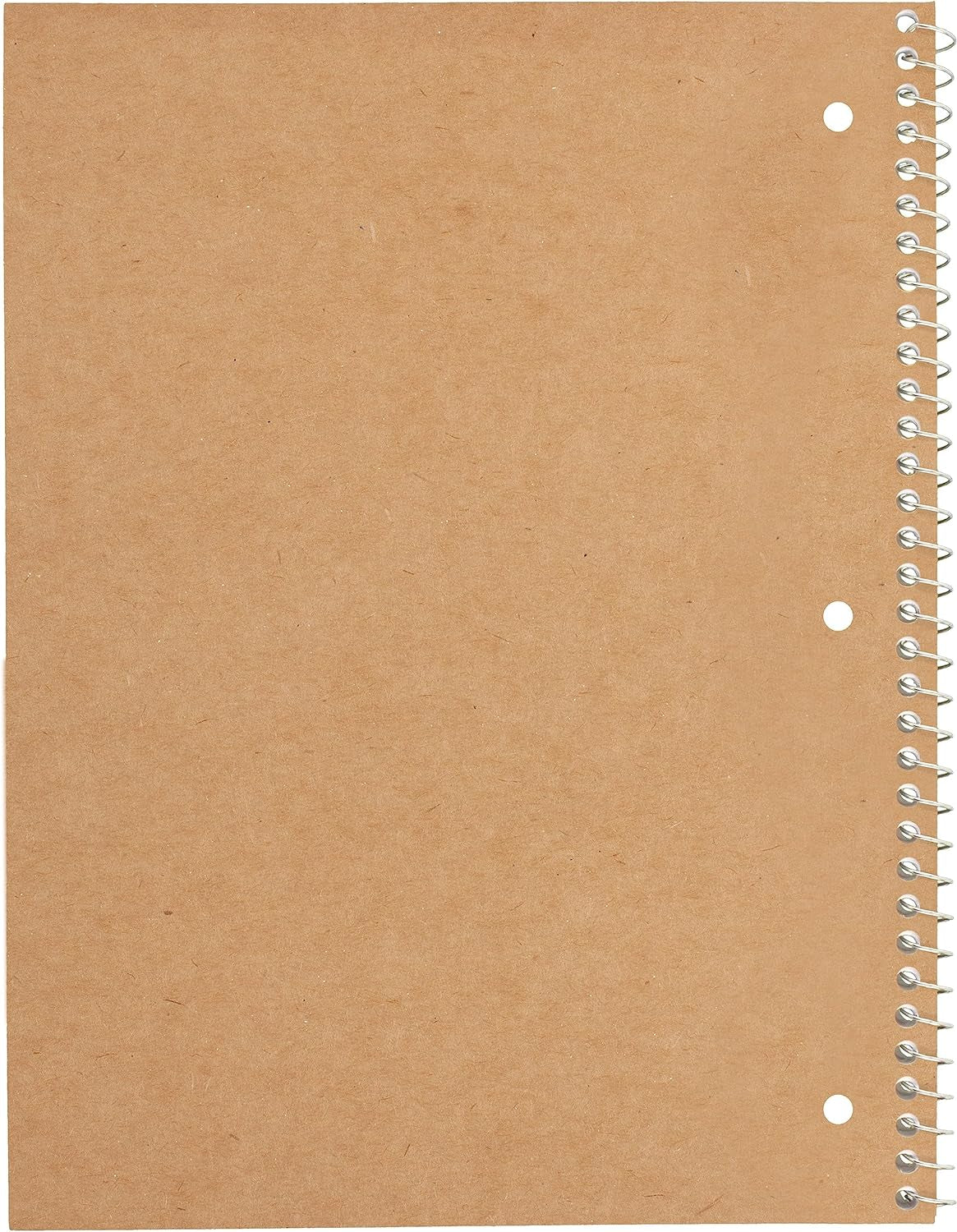 Spiral Notebooks, 6 Pack, 1-Subject, Wide Ruled Paper, 8" X 10-1/2", 70 Sheets, Assorted Pastel Colors (930050-ECM)