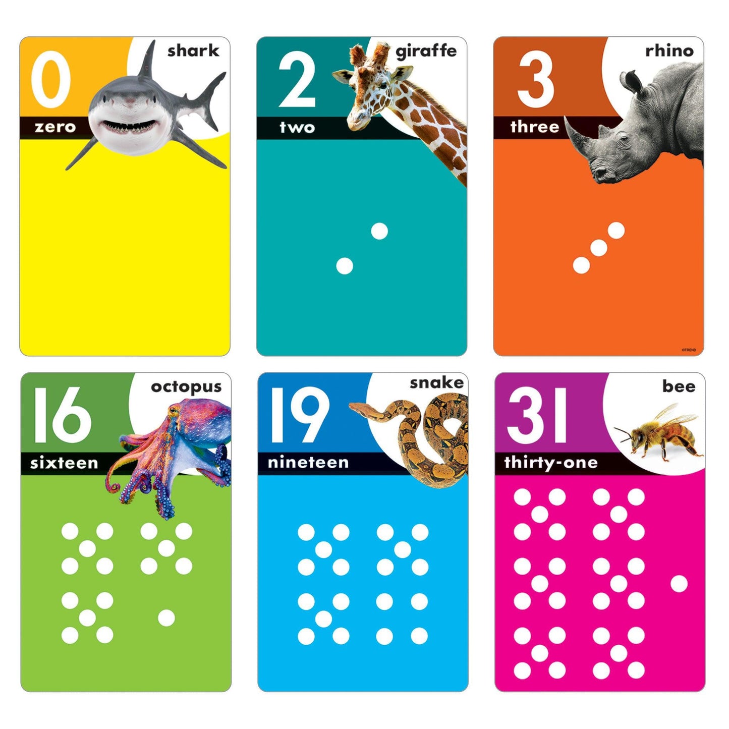 Animals Count 0-31 Learning Set - Loomini