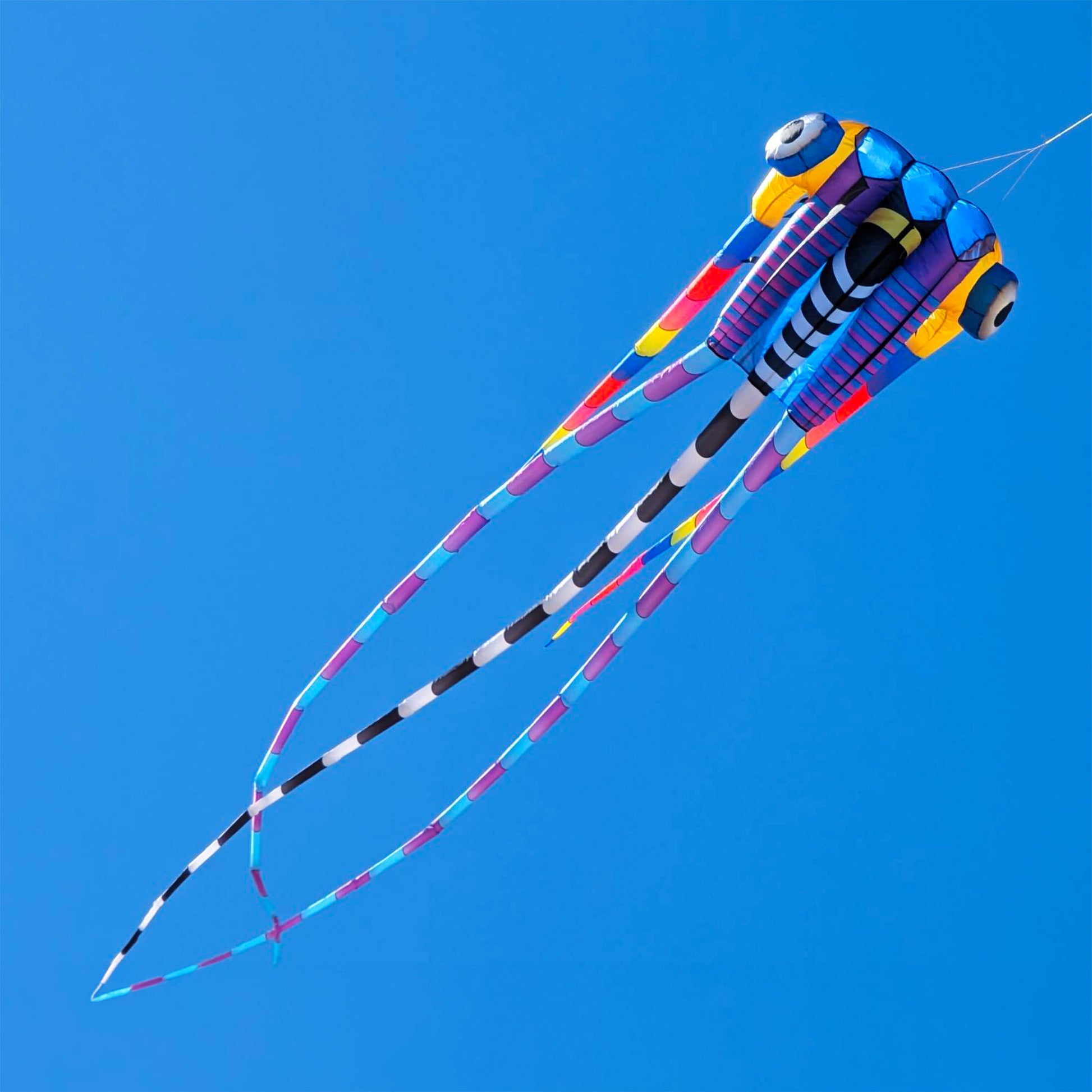 Giant 15' Trilobite Airfoil Nylon 3-D Kite
