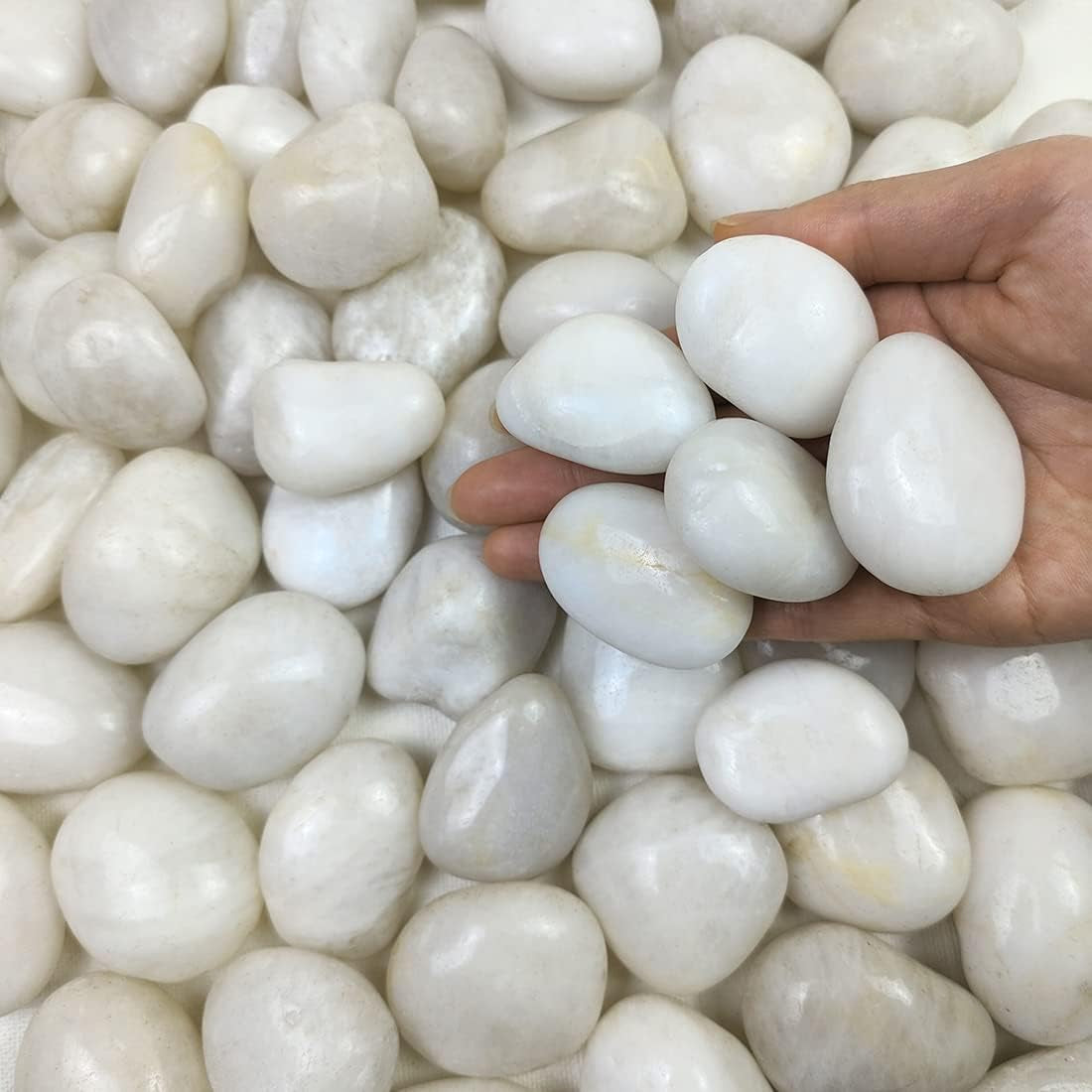 2Lbs Small White Pebbles for Plants, 0.8-1.2 Inch Decorative White River Rocks for Plants, Aquariums, Landscaping. White Stones for Planter Vase and Outdoor Garden Rocks