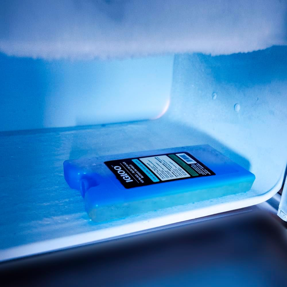 Maxcold Ice Blocks