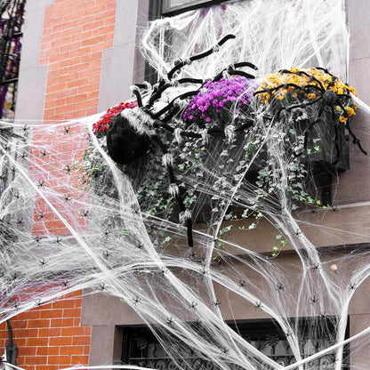 Spider Webs Halloween