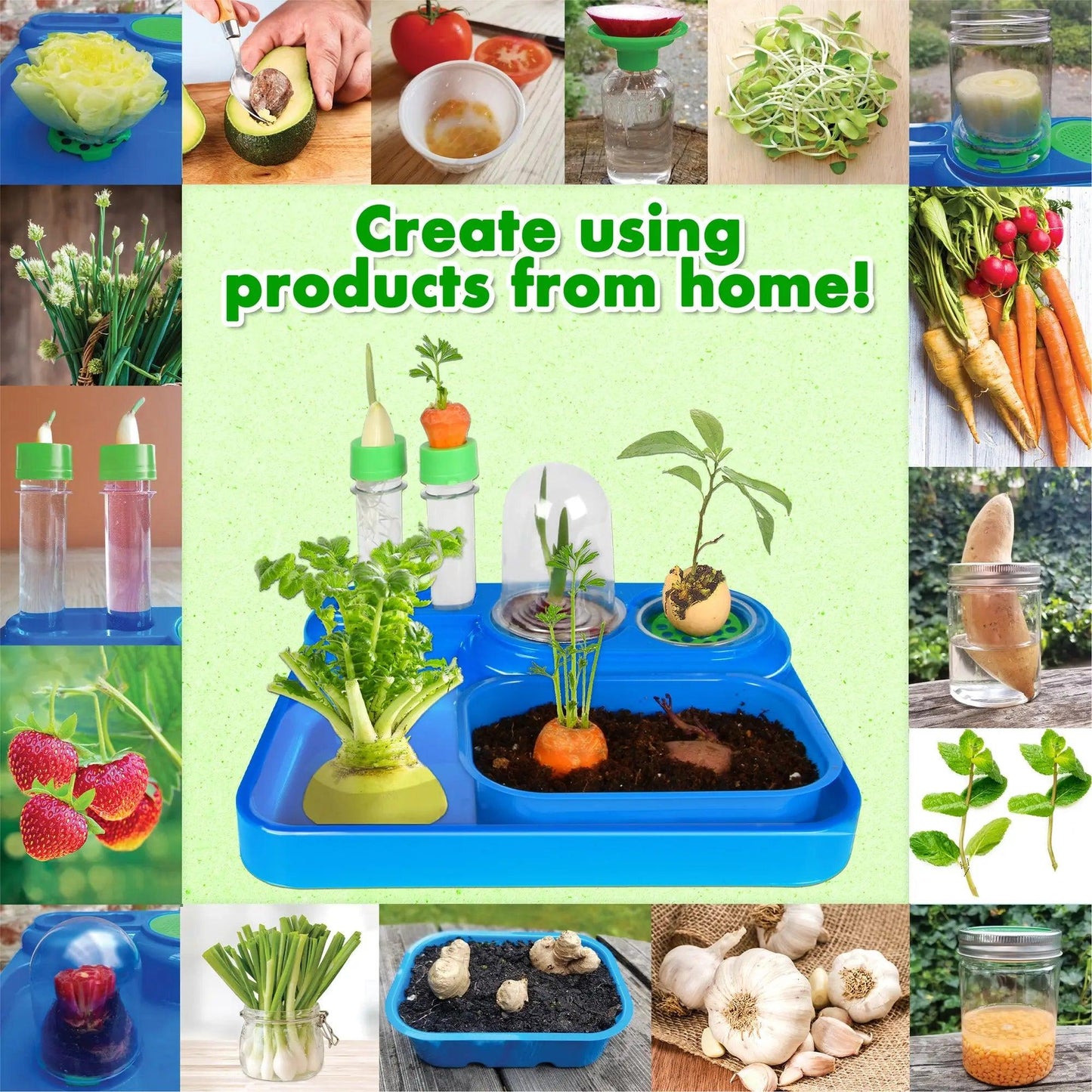 Cultivate Wonder: Regrow Science Lab for Sustainable Gardening Adventures | Ages 7 to 10 Science To The Max