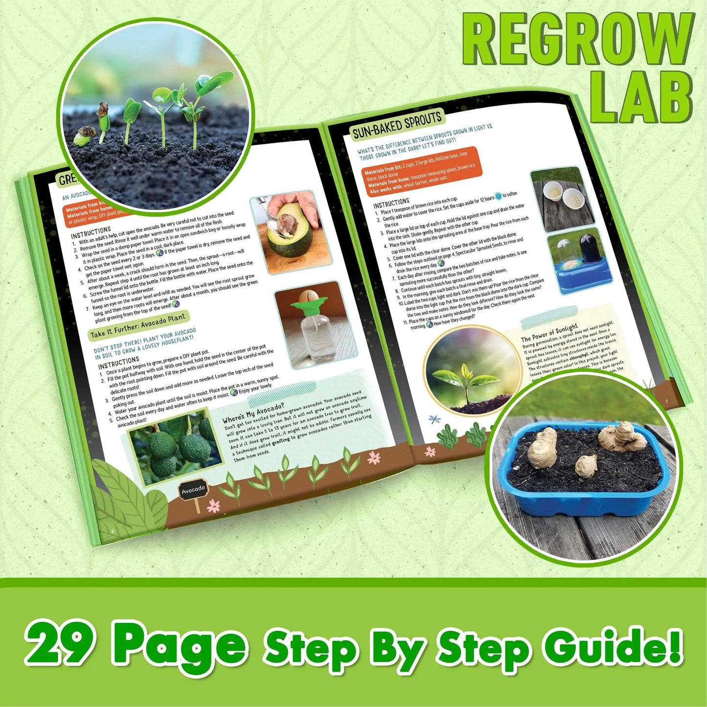 Cultivate Wonder: Regrow Science Lab for Sustainable Gardening Adventures | Ages 7 to 10 Science To The Max